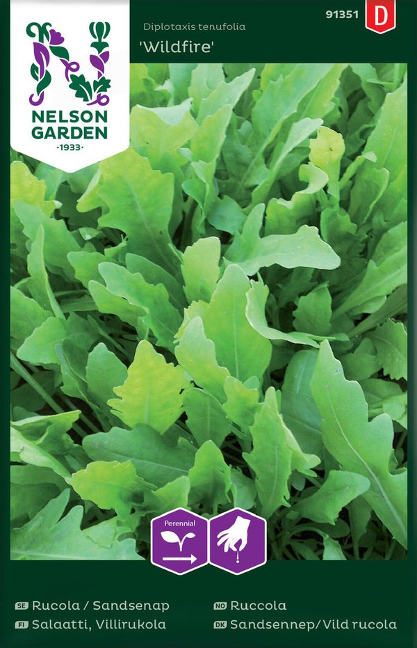 Nelson garden Salaatti Villirukola Organic