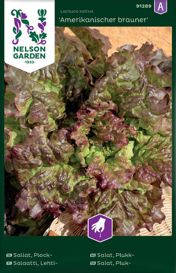 Nelson garden Salaatti lehti Amerikkalainen